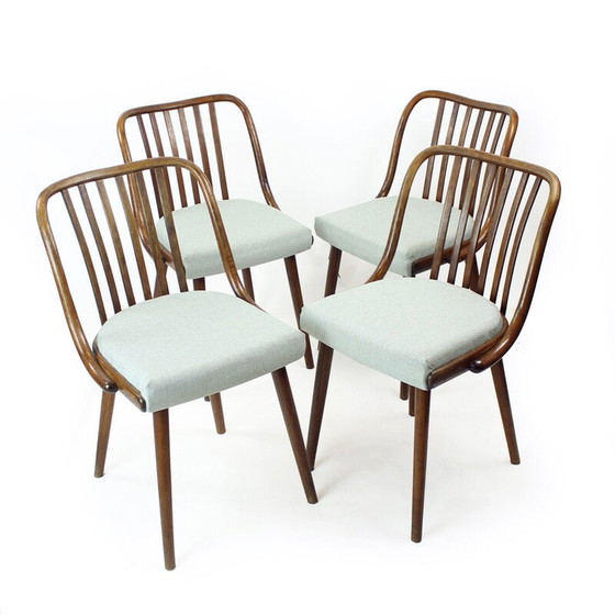 Image 1 of Set van 4 vintage gebogen donker eiken eetkamerstoelen voor Jitona, Tsjecho-Slowakije 1960
