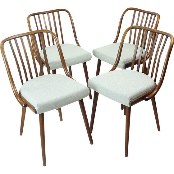 Image 1 of Set van 4 vintage gebogen donker eiken eetkamerstoelen voor Jitona, Tsjecho-Slowakije 1960