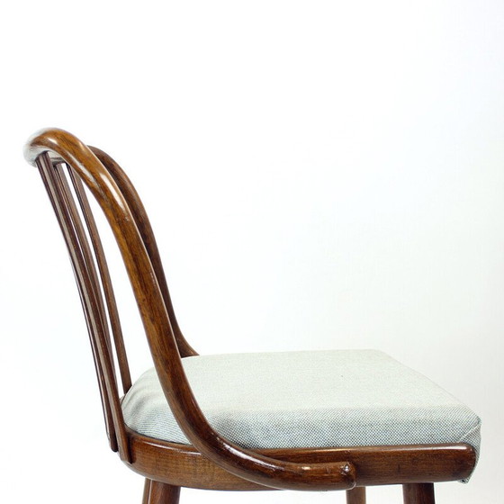Image 1 of Set van 4 vintage gebogen donker eiken eetkamerstoelen voor Jitona, Tsjecho-Slowakije 1960