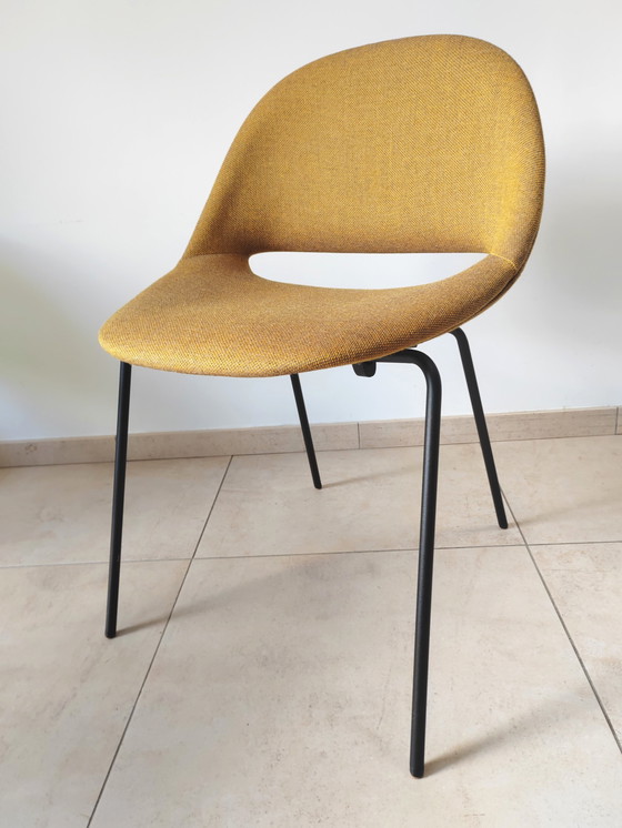 Image 1 of 4 x BULO lounge chairs Leon stynen sl58