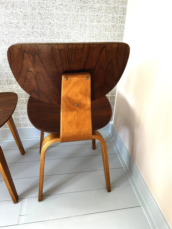 Image 1 of 4x Pastoe Eetkamerstoelen Sb02 door Cees Braakman