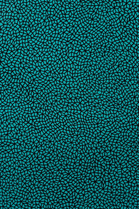 Image 1 of Yayoi Kusama "Oneindige netten" | Kunstposter