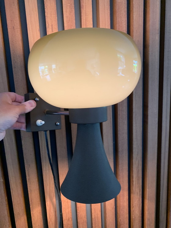 Image 1 of Herda diabolo wandlamp