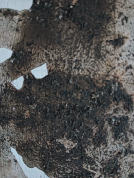 Image 1 of Rob Jacobs - Beweging