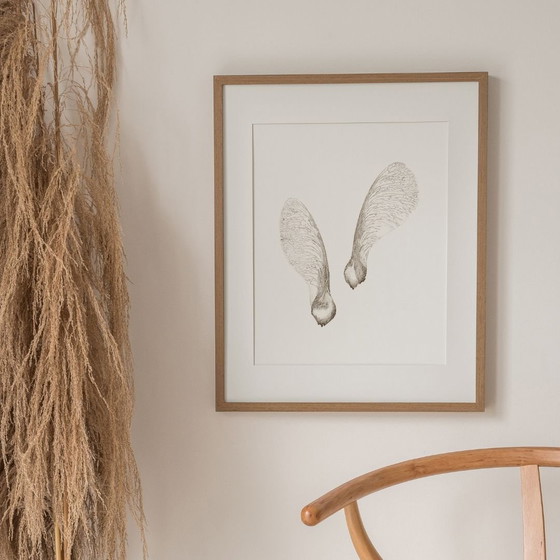 Image 1 of Fine Art Print Ingelijst: Esdoorn Zaden