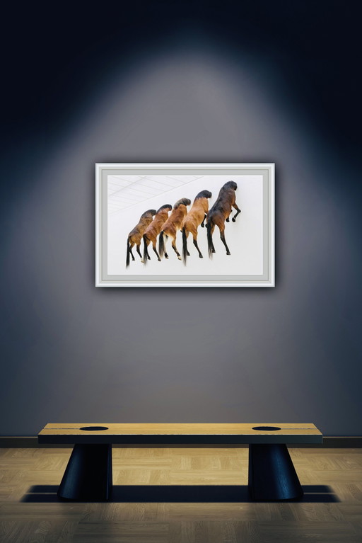 Maurizio Cattelan (1960), 5 Horses, 2007. Fondation Beyeler, Grootformaat 70 X 100 Cm. 