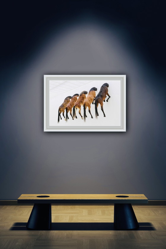 Image 1 of Maurizio Cattelan (1960), 5 Horses, 2007. Fondation Beyeler, Grootformaat 70 X 100 Cm. 