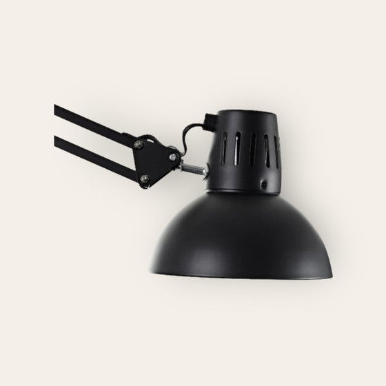 Image 1 of Moooi Dear Ingo lamp