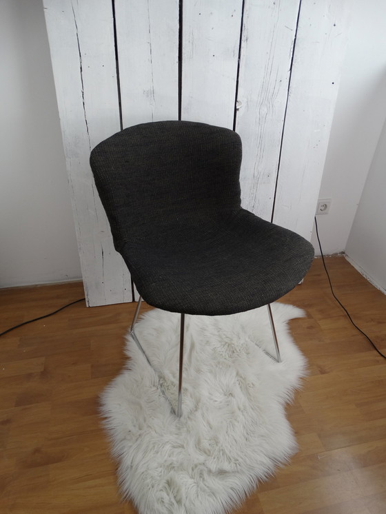 Image 1 of Bertoia Stoel, Knoll Internationaal