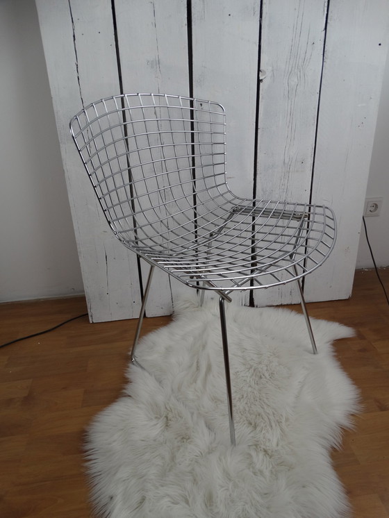 Image 1 of Bertoia Stoel, Knoll Internationaal