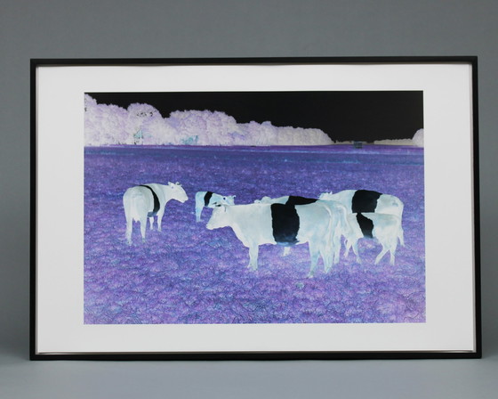 Image 1 of Marijke van Warmerdam, "Mad Cows" 2002, oplage van 5 exemplaren