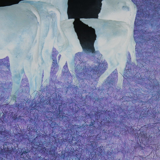 Image 1 of Marijke van Warmerdam, "Mad Cows" 2002, oplage van 5 exemplaren