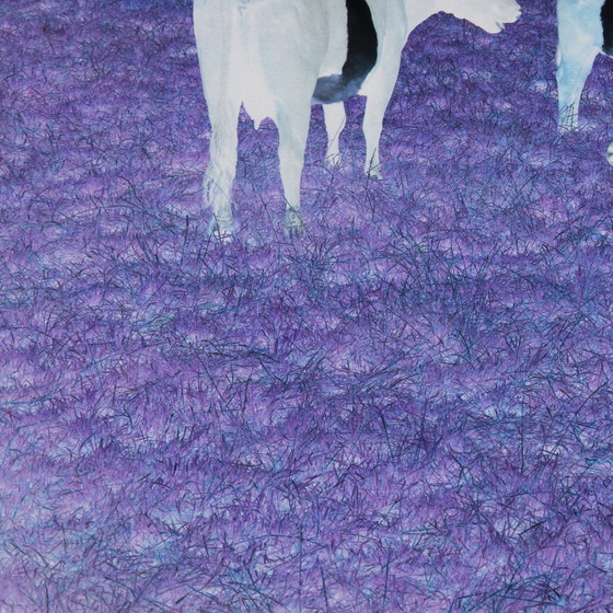 Image 1 of Marijke van Warmerdam, "Mad Cows" 2002, oplage van 5 exemplaren