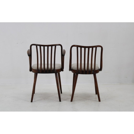 Image 1 of Set van 6 vintage beuken eetkamerstoelen van Antonin Suman, jaren 1960