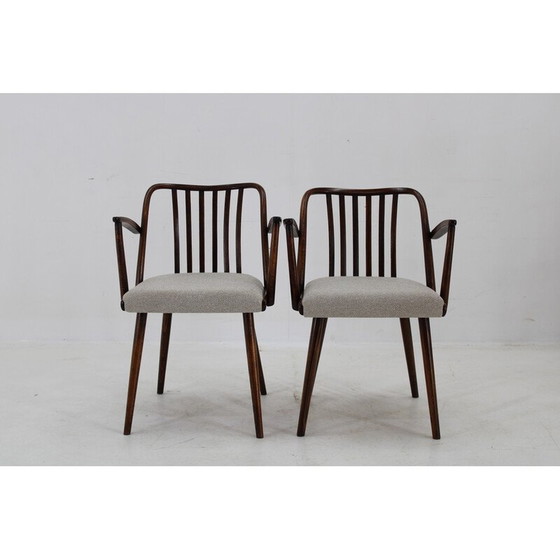 Image 1 of Set van 6 vintage beuken eetkamerstoelen van Antonin Suman, jaren 1960