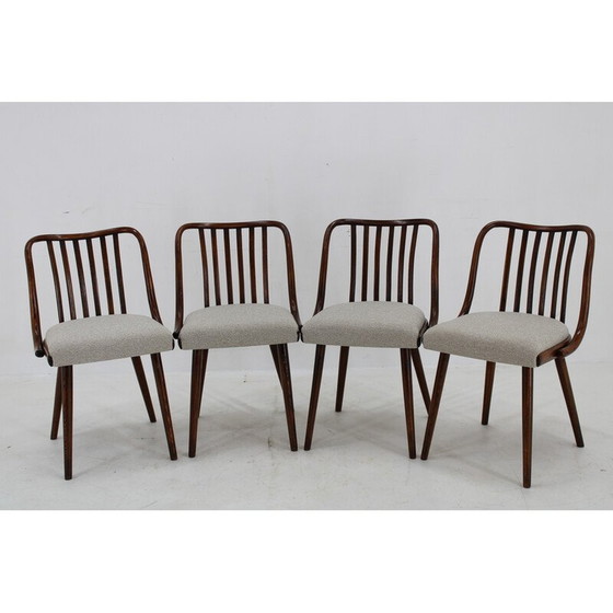 Image 1 of Set van 6 vintage beuken eetkamerstoelen van Antonin Suman, jaren 1960