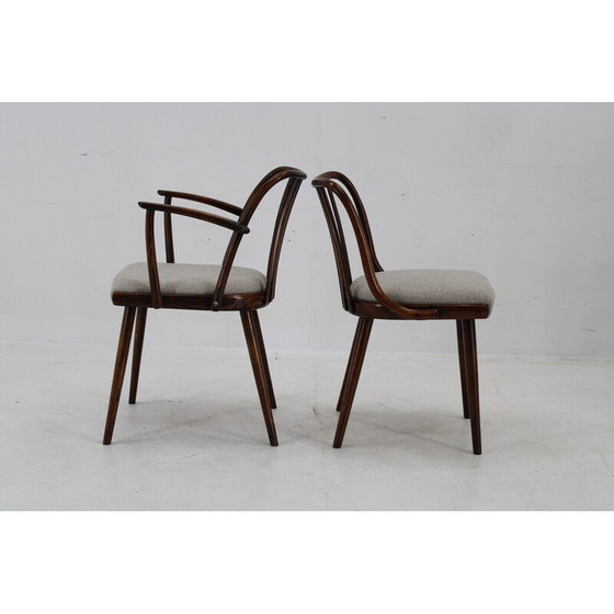 Image 1 of Set van 6 vintage beuken eetkamerstoelen van Antonin Suman, jaren 1960