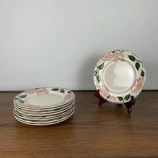 Set van 9 dessertborden Villeroy & Boch "Wild Rose", 1970