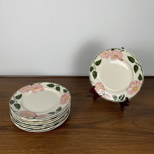 Set van 9 dessertborden Villeroy & Boch "Wild Rose", 1970