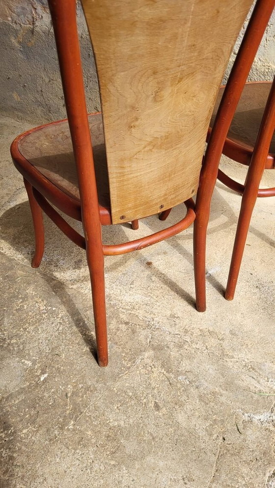 Image 1 of Paar Art Nouveau Stoelen Thonet