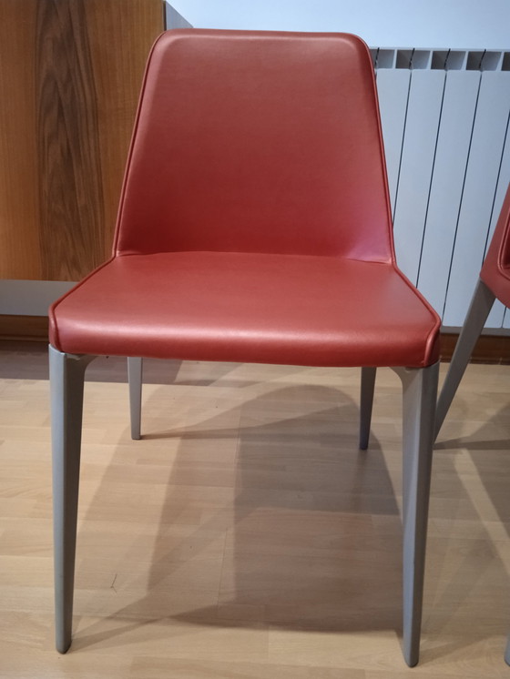 Image 1 of 2x Pedrali Fauteuil Ester 691 Design Patrick Jouin