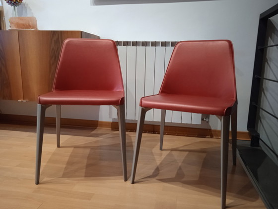 Image 1 of 2x Pedrali Fauteuil Ester 691 Design Patrick Jouin