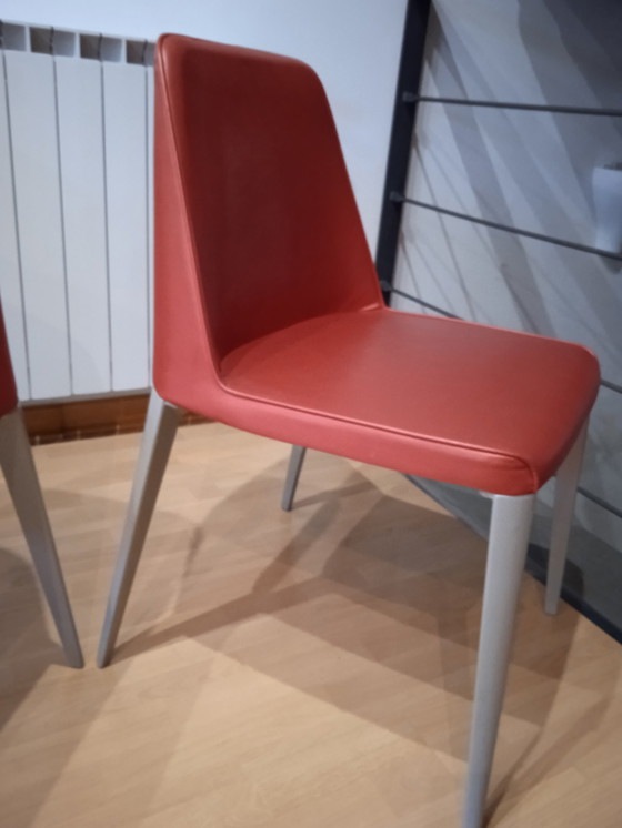 Image 1 of 2x Pedrali Fauteuil Ester 691 Design Patrick Jouin