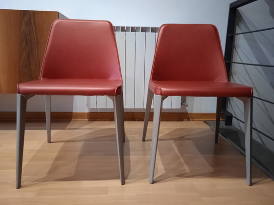 Image 1 of 2x Pedrali Fauteuil Ester 691 Design Patrick Jouin