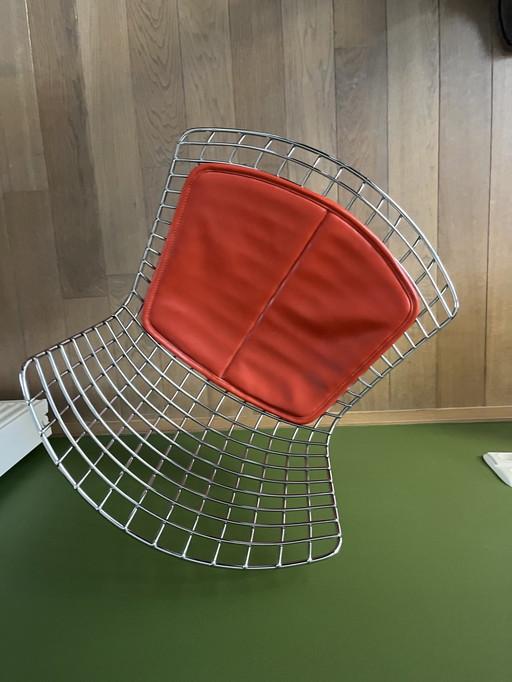 Bertoia Side Chairs Met Origineel Zitkussen