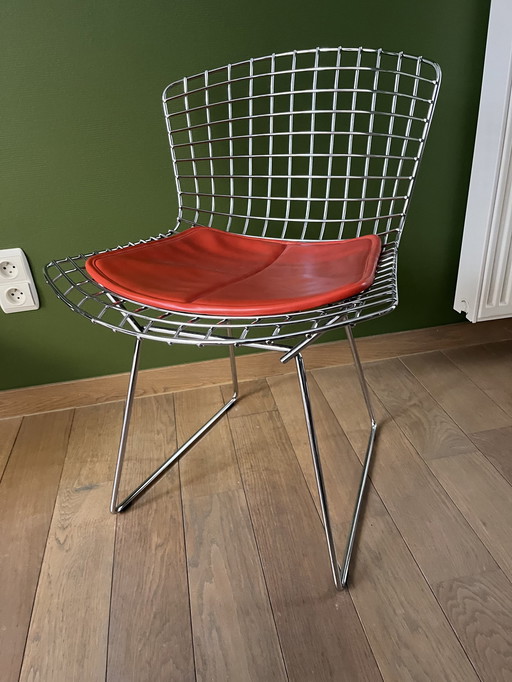 Bertoia Side Chairs Met Origineel Zitkussen