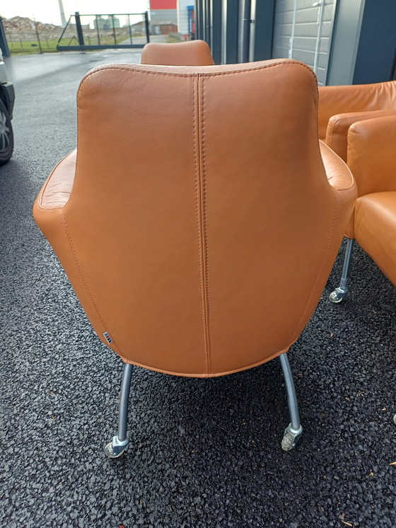 Image 1 of 4x Camel Bert Plantagie Lounge E stoelen