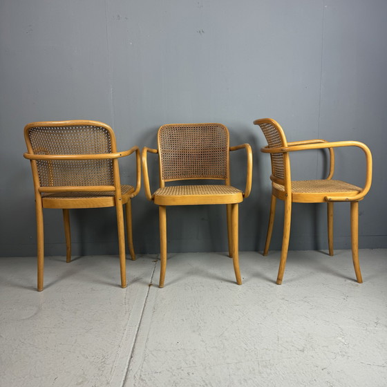 Image 1 of 3 St. Thonet Praag 811 Stoelen