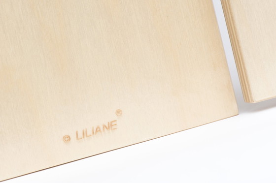 Image 1 of Barbie Kledingkast Van De Poppenvilla By Liliane®