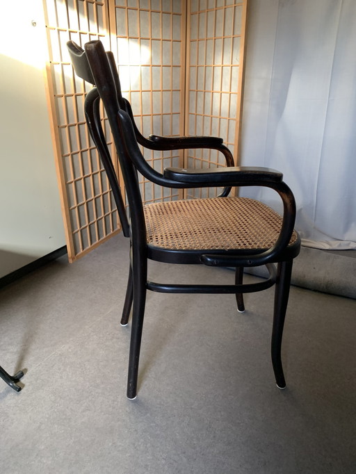 6x Thonet stoelen