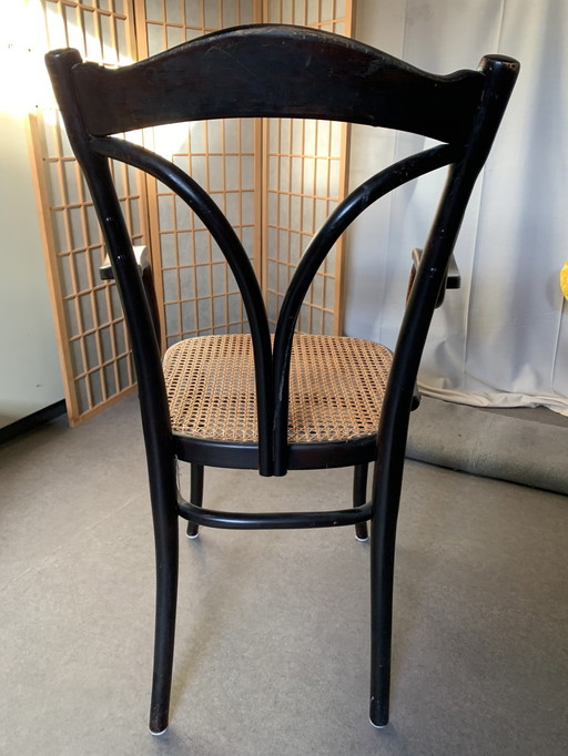 6x Thonet stoelen