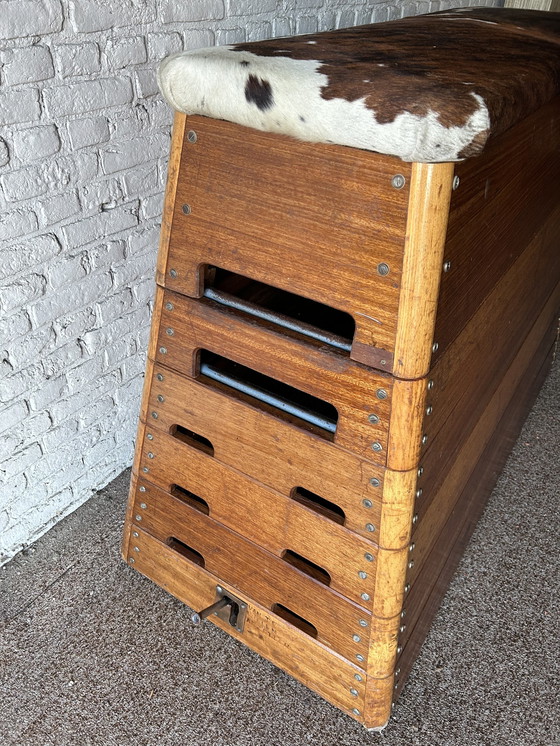 Image 1 of Vintage plintkast turnzaal