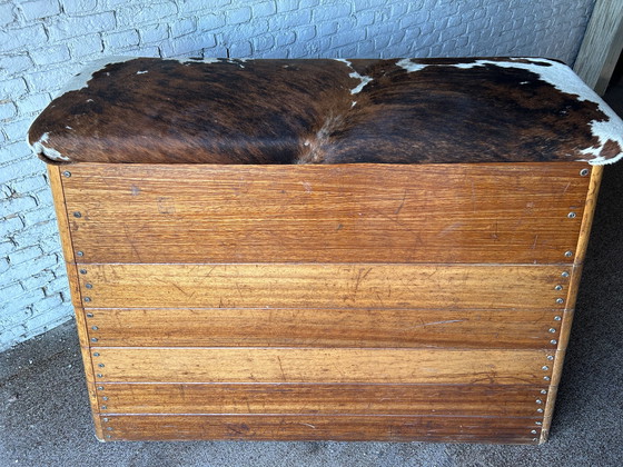 Image 1 of Vintage plintkast turnzaal