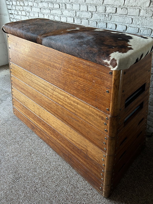 Vintage plintkast turnzaal