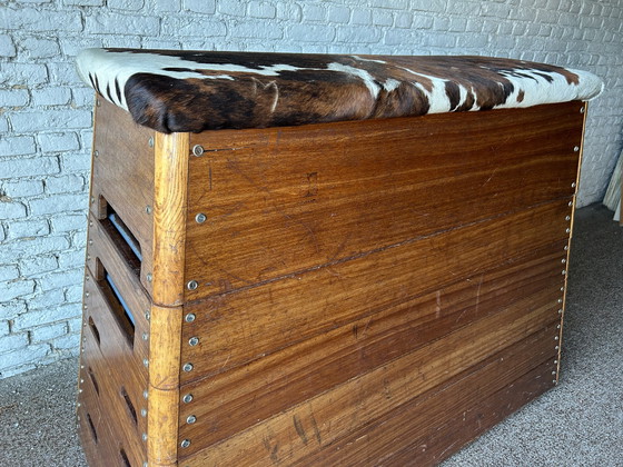 Image 1 of Vintage plintkast turnzaal