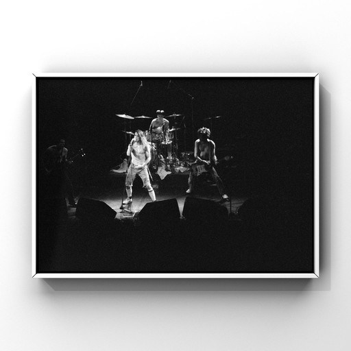 Red Hot Chillipeppers | 1988 | Fine art print