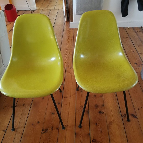 Image 1 of Set van 4 vintage Dsx stoelen van glasvezel van Herman Miller