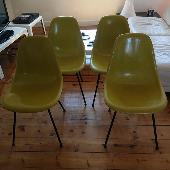 Image 1 of Set van 4 vintage Dsx stoelen van glasvezel van Herman Miller