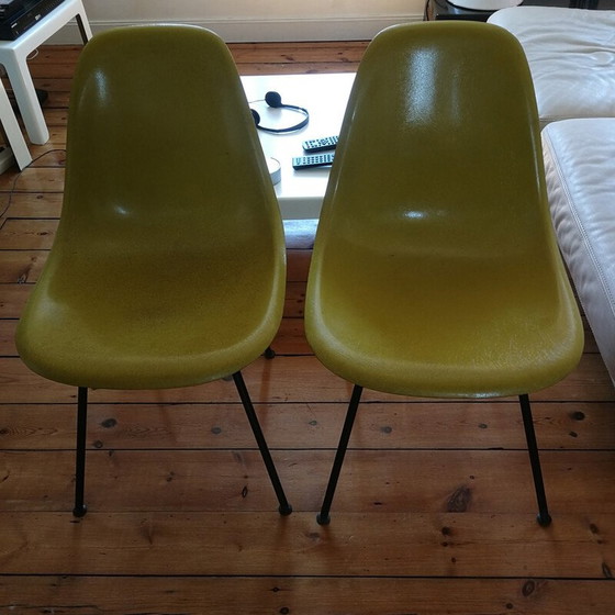 Image 1 of Set van 4 vintage Dsx stoelen van glasvezel van Herman Miller