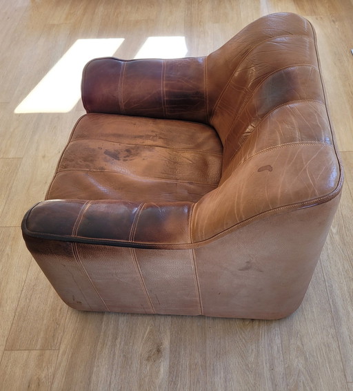 De Sede Ds44 Clubfauteuil