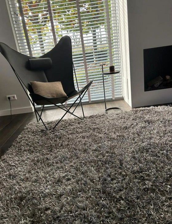 Image 1 of Carpet Brinker