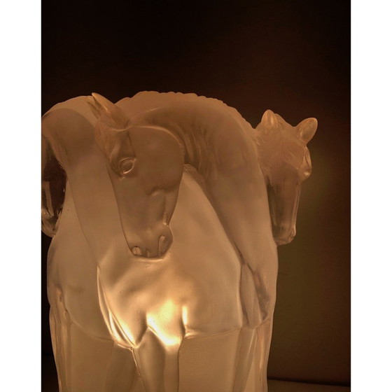 Image 1 of Vintage lamp met paardendecoratie in plexiglas, Frankrijk 1970