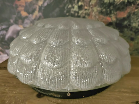 Image 1 of Plafonniere Ice Pride Rzb Leuchten