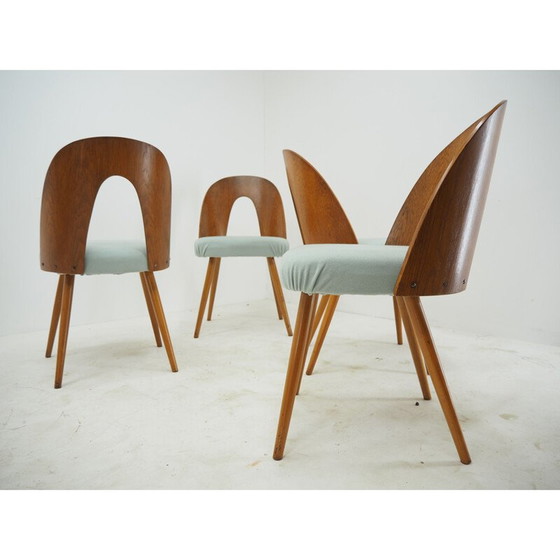 Image 1 of Set van 4 vintage houten stoelen van Antonin Suman, 1960