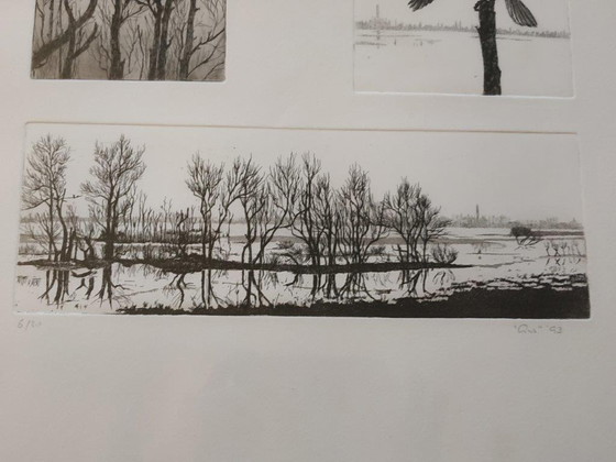 Image 1 of Ans van der Zweep-Heijmen Ets compilatie - Aalscholvers in het Gelders landschap