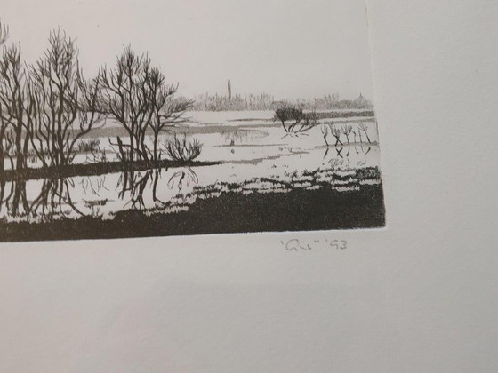 Image 1 of Ans van der Zweep-Heijmen Ets compilatie - Aalscholvers in het Gelders landschap